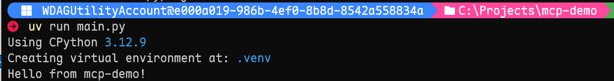 uv run main.py