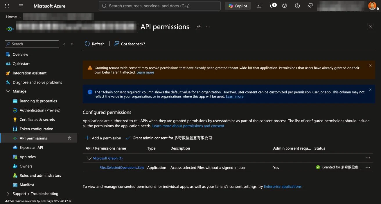 API permissions 頁面只有 Files.SelectedOperations.Selected 一個應用程式權限，狀態為 Granted
