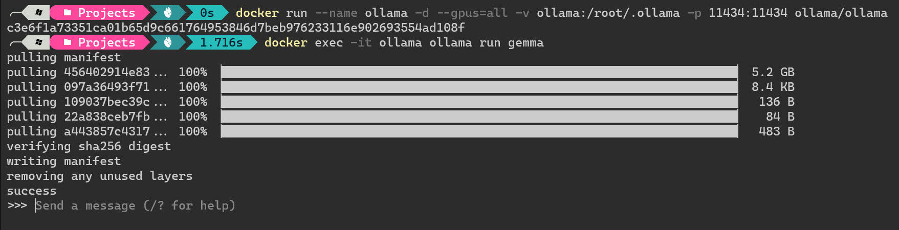docker exec -it ollama ollama run gemma