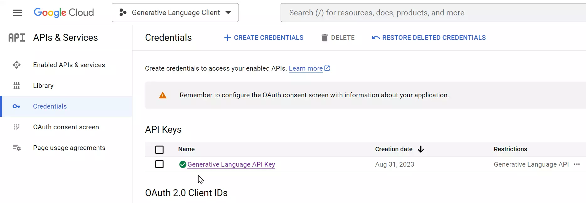 APIs & Services - Credentials - API Keys