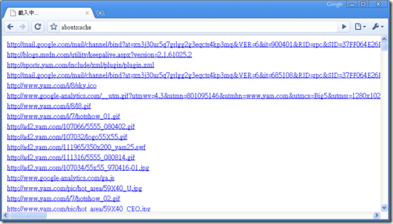 Google Chrome - about:cache