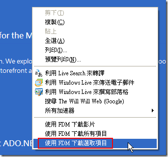 然後按下 Ctrl + A 全選，並用滑鼠右鍵選取『使用 FDM 下載選取項目』