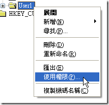 使用滑鼠右鍵點選 "User1"，再點選 "使用權限"